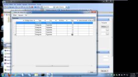 Introducción a IBM SPSS Data Collection
