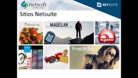 Intro a Netsuite, erp en la nube