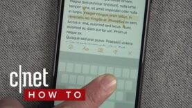 Echa un vistazo al ratón escondido en el teclado de tu iPhone (Ingles).