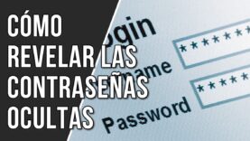 Como Revelar las Contraseñas Ocultas en un Navegador.