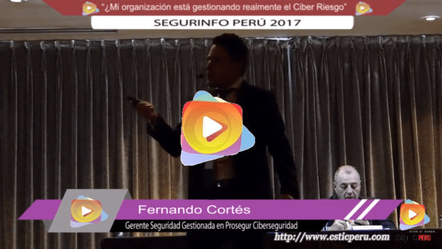 mi organizacion