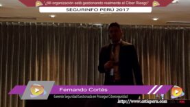 Mi organización está gestionando realmente el Ciber Riesgo.