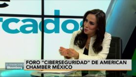 Falta de ciberseguridad puede mermar competitividad económica.