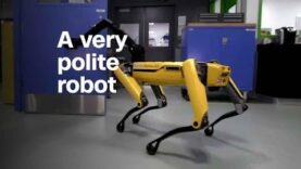 Un robot diestro podría ser su próximo portero.