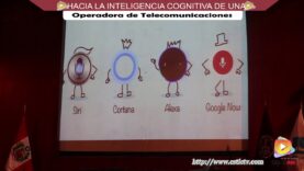 Hacia la Inteligencia Cognitiva de una Operadora de Telecomunicaciones.
