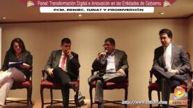 Panel: Transformación Digital e Innovación en las Entidades del Gobierno Peruano.