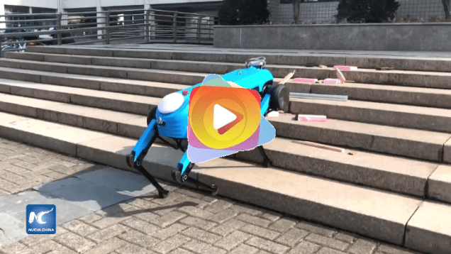 robot r