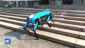 Surgen en China robots de cuatro patas que corren, suben y bajan escaleras.