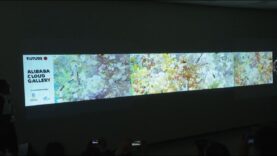 Alibaba Cloud Gallery recibirá a fanáticos olímpicos en aeropuerto de Tokio