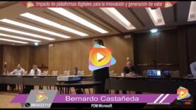 Impacto de las Plataformas Digitales para la innovación y generación de valor en las empresas