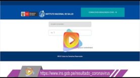 Pagina para ver el resultado de la prueba de Coronavirus – INS