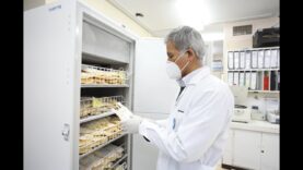 EsSalud busca cura del COVID-19 con plasma convaleciente