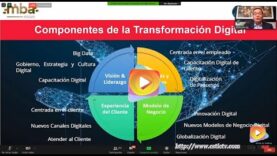 La Transformacion Digital para los CEOs
