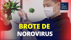 Brote de norovirus en una universidad china