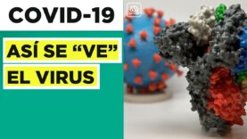 Científicos lograron captar la imagen real  Sars-CoV-2, el virus que produce la COVID-19.