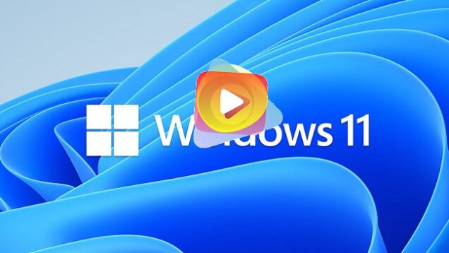 windows 11