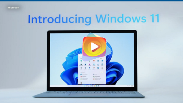 windows 11
