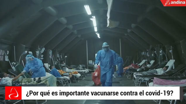 vacunacion