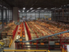 logistica
