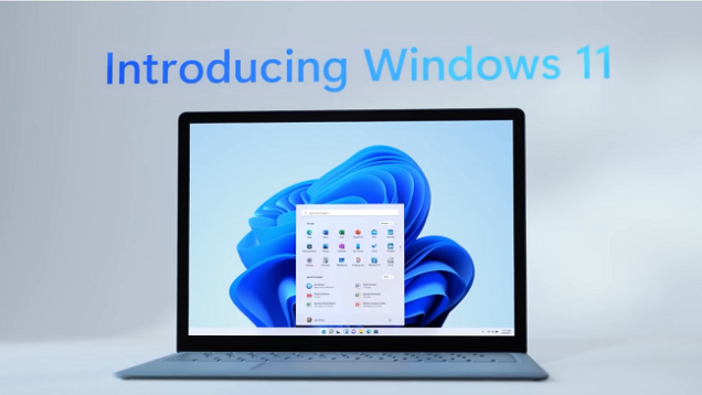 windows 11