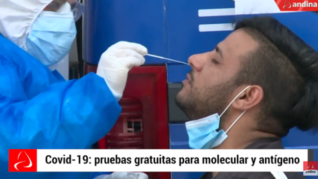 pruebas molecular
