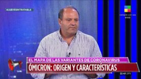Argentina: El mapa de las variantes de COVID-19: cómo identificar las diferentes cepas