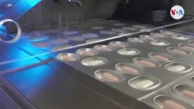 Estados Unidos aprueba la píldora de Pfizer contra el COVID-19