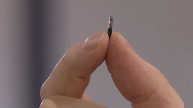 microchip