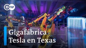 Cyber Rodeo de Tesla