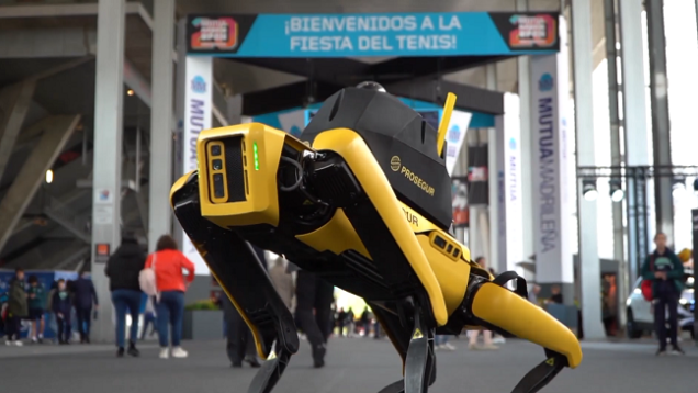 robot perro
