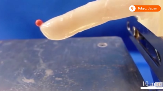 Científicos japoneses desarrollan ‘piel humana viva’ en dedo robótico
