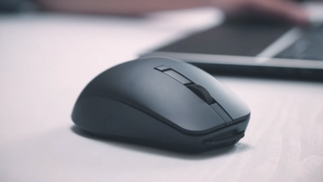 mouse