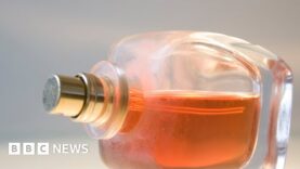 La inteligencia artificial ahora puede diseñar perfumes (Ingles)