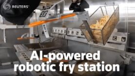 Un robot diseñado para la comida rápida y las patatas fritas perfectas