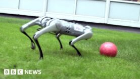 Cómo el mini robot Cheetah aprende a jugar al fútbol