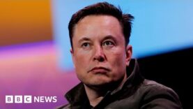 Los usuarios de Twitter votan por la renuncia de Elon Musk como CEO