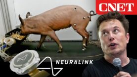 Neuralink de Elon Musk está tratando de reanimar el cuerpo
