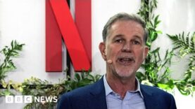 El cofundador de Netflix deja el cargo de CEO después de un año turbulento