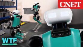 ¿Por qué el robot de dígitos finalmente obtuvo una cabeza?