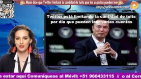 Noticia (AI): Musk dice que Twitter limitará la cantidad de tuits que los usuarios pueden leer