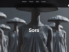 sora244