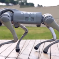 robot