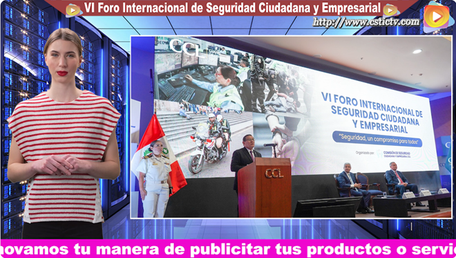 Seguridad Ciudadana y Empresarial