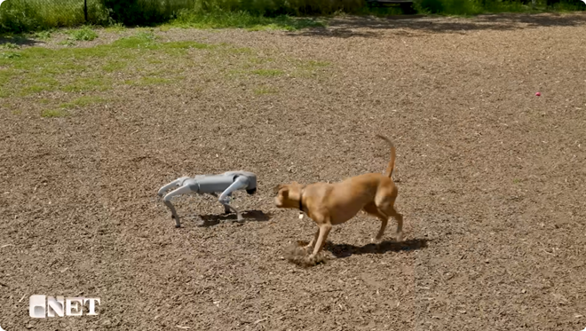 perro robot