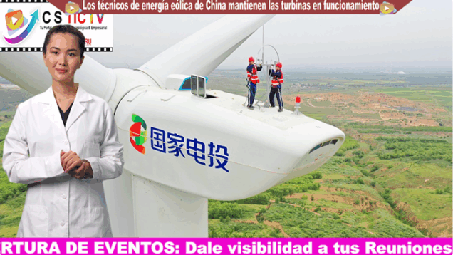 tecnicos